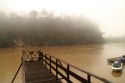 Ampliar Foto: Río Kinabatangan -Borneo- Malasia