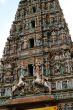 Ir a Foto: Templo Hindú - Kuala Lumpur - Malasia 
Go to Photo: Hindu Temple - Malaysia