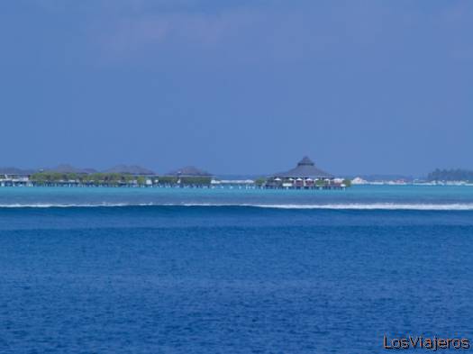 Ari Atoll- Maldivas