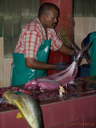 Fish market- Maldives
Lonja- Maldivas