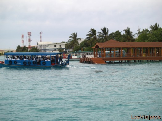Dhoni Autobus- Maldivas