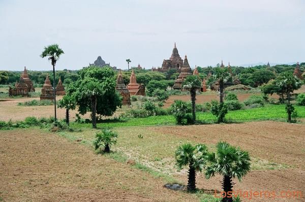 Khay Min Ga-Bagan-Myanmar