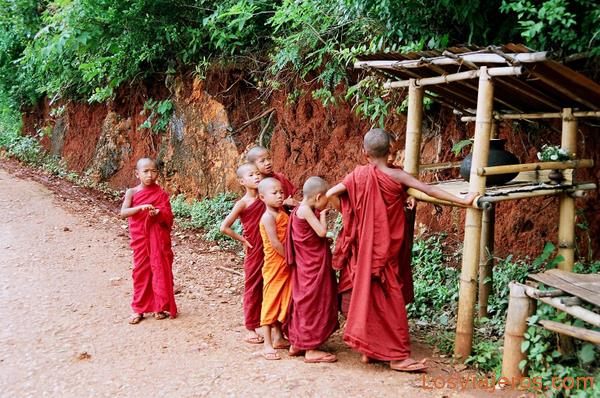 Monks-Yatzakyi-Burma - Myanmar
Monjes-Yatzakyi-Myanmar