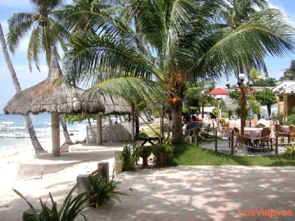Alona Beach, Bohol - Philippines
Playa Alona, Bohol - Filipinas