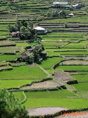Rice terraces in Banaue - Philippines
Terrazas de arroz en Banaue - Filipinas
