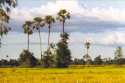 Go to big photo: Myanmar's Typical Lanscape