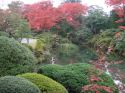 Go to big photo: Temples Gardens in Nikko - Japan