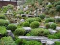Ir a Foto: Jardines de Nikko - Japón 
Go to Photo: Nikko Gardens - Japan