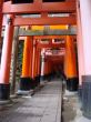 Santuario Fushimi Inari - Kyoto - Japón
Fushimi Inari Shrine - Kyoto - Japan