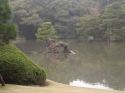 Ir a Foto: Jardines Rikugi-en - Tokyo 
Go to Photo: Rikugi-en Gardens - Tokyo