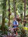 Ampliar Foto: Paseando por el Jardín botánico de Singapur