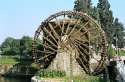 Go to big photo: Hama - Water-wheel -Syria