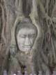 Ir a Foto: Detalle del Parque Histórico de Ayutthaya - Tailandia 
Go to Photo: Detail of Ayutthaya Historical Park -Thailand