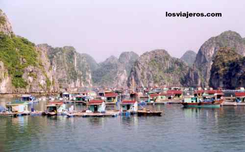 Cat Ba island, city & Park - Vietnam