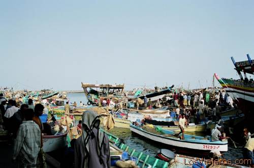 Mercado de pescado-Hodeidah-Yemen