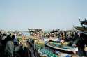 Mercado de pescado-Hodeidah-Yemen
Fishing Market-Hodeidah-Yemen