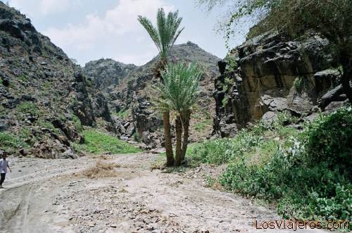 Wadi-Sar-Dut-Yemen