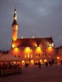 Tallinn's Gothic Town Hall - Estonia