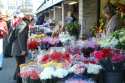 Flowers Market - Tallinn - Estonia