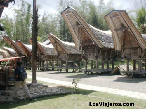 Toraja tribe - Tipical Houses - Indonesia
Casas típicas de los Toraja - Indonesia