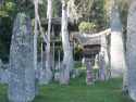 Ir a Foto: Otro tipo de cementerio de los Toraja. 
Go to Photo: Toraja's cementery