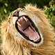 Avatar de Davidps83 Imagen: Davidps83