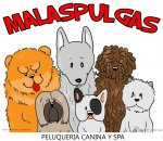 Imagen: Malaspulgasbcn