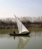 Image: Albufera
