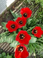 Avatar de NDA1965 Imagen: NDA1965