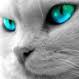 Imagen: Marjal