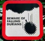 Imagen: Flamenquines_con_durian