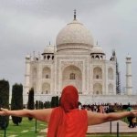 Imagen: Didotrigales