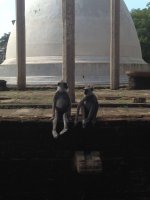 Avatar de Martituks Imagen: Martituks