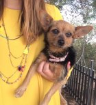 Imagen: VanessaYJose