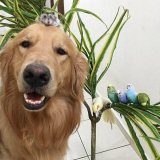 Avatar de Mrpepe18 Imagen: Mrpepe18