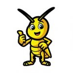 Imagen: Elgrilloviajero