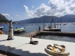 Comiendo mejillones y ostras en una piscifactoría - Bahía de Kotor