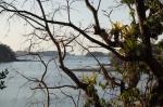 Vistas del parque Marino de Chiriquí, desde mi ventana - Isla de Boca Brava