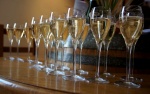 Champagne glasses - Rene Fresne vineyard - Sermiers