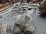 Fosil de Mastodonte - Museo del Instituto Geologico y Minero de España- Madrid