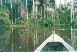 Navegando por el Lago Sandoval - Amazonas