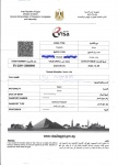Visado Egipto