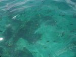 PHI PHI ISLAND