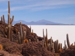 La isla Incahuasi en el salar de Uyuni