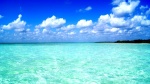 sorprendente mar...