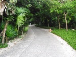 camino a la playa