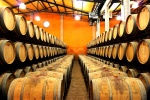Barrels of wine in Logroño