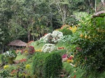 Jardín de la tribu Hmong