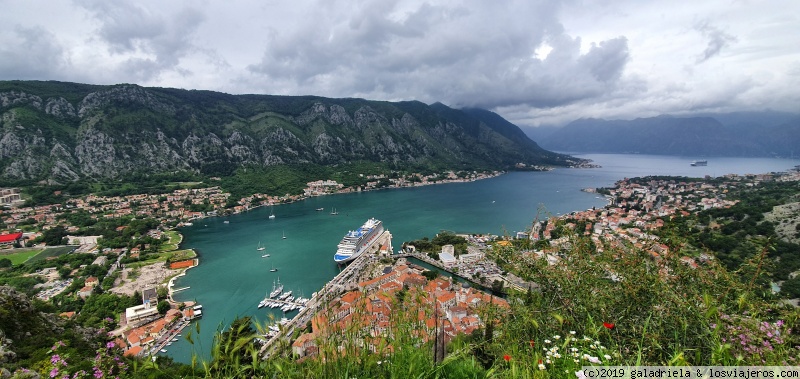 Kotor