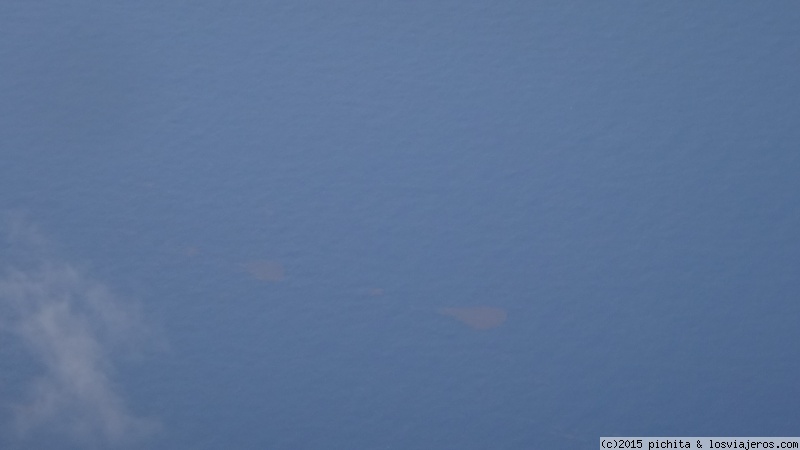 Manchas de salgazo (algas) en Punta Cana